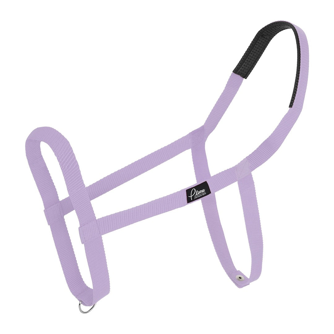 Pluma Halfter