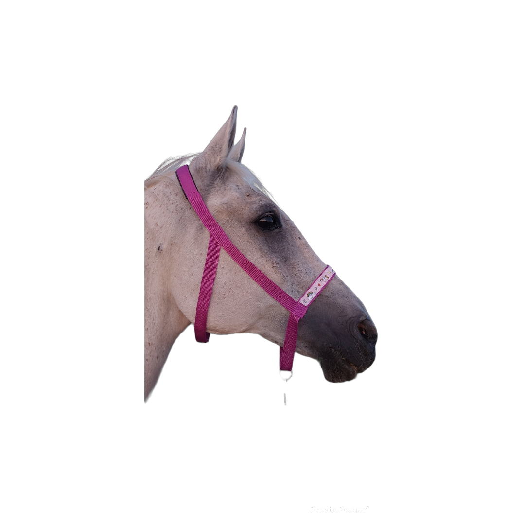 Unicorn Pluma Halfter